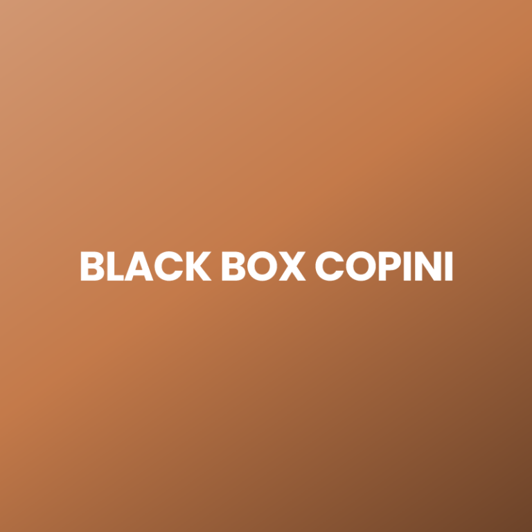 BLACK BOX COPINI