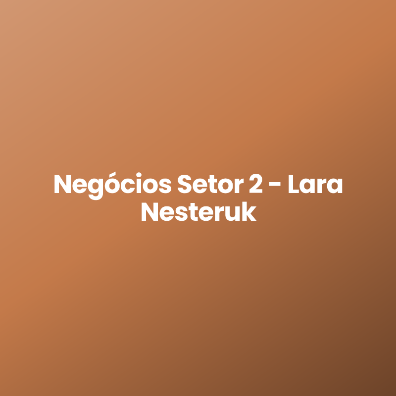Negócios Setor 2 – Lara Nesteruk