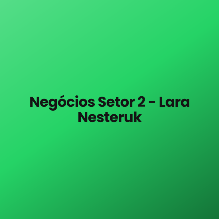 Negócios Setor 2 – Lara Nesteruk