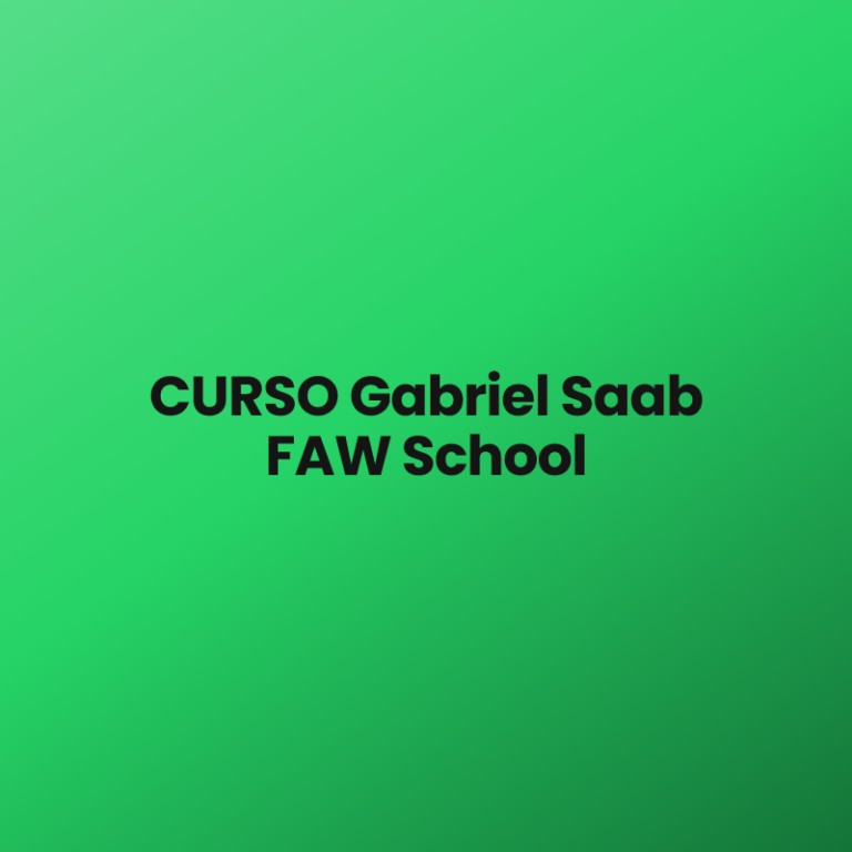 CURSO Gabriel Saab FAW School