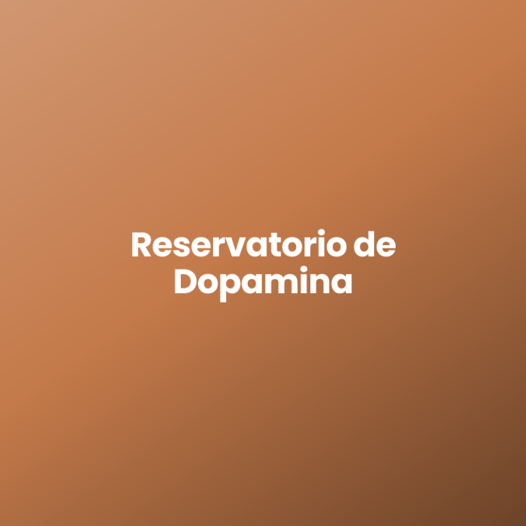 Reservatorio de Dopamina