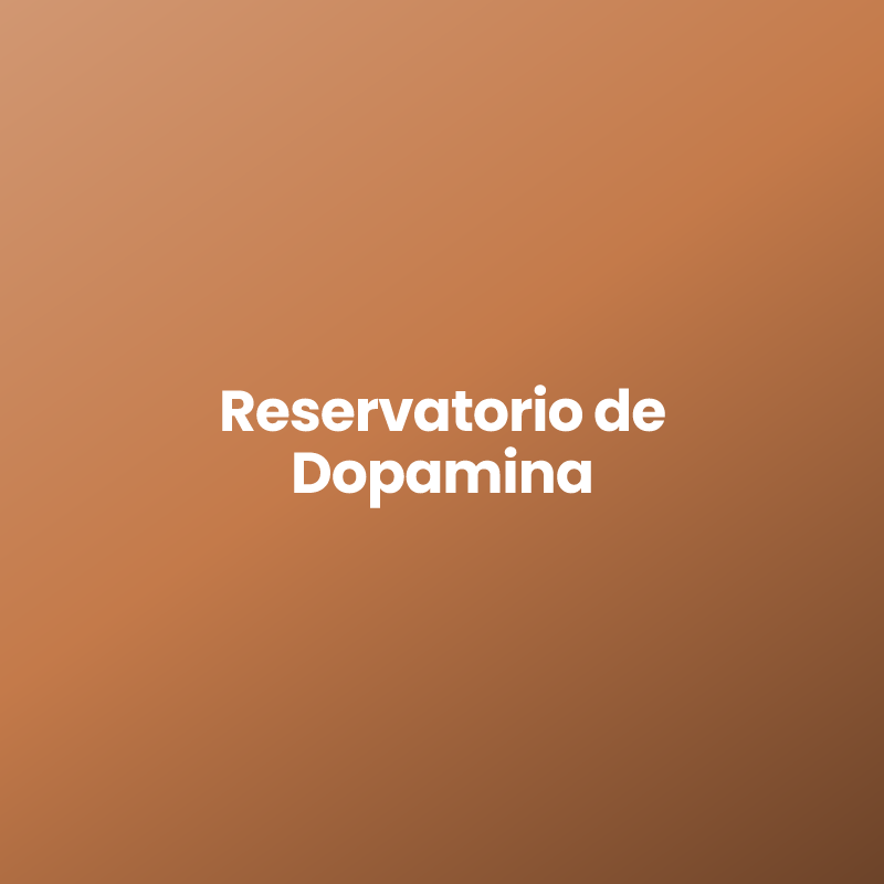 Reservatorio de Dopamina